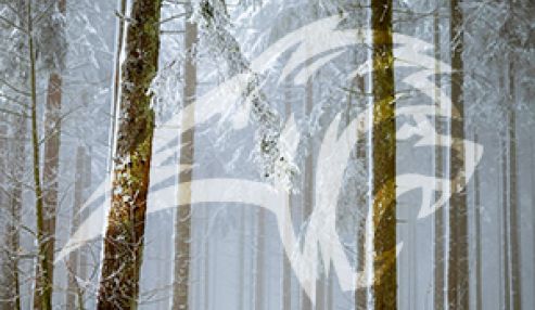 Hello Holidays! USA Holiday Schedule